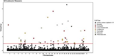 The genetic architecture of complete blood counts in lactating Holstein dairy cows